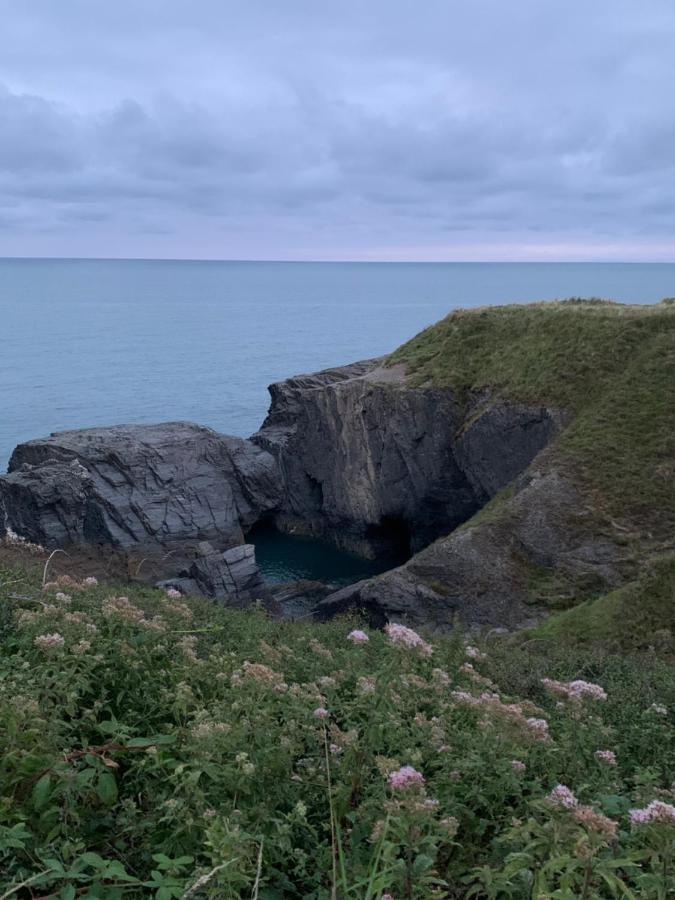 Wild Coastal Retreat At Troed Y Rhiw Aberporth, West Wales Vila Exterior foto