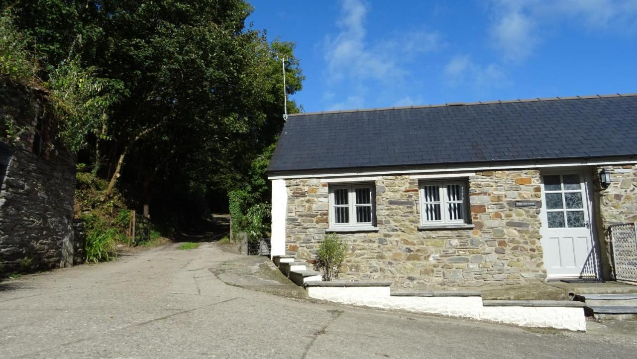Wild Coastal Retreat At Troed Y Rhiw Aberporth, West Wales Vila Exterior foto